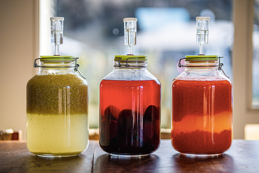 Kombucha, Kefir, Kvass - are you confused with a capital "K"?