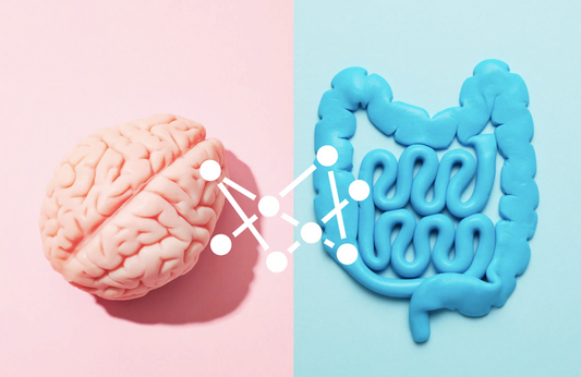 More than a gut feeling: Exploring the gut-mind connection