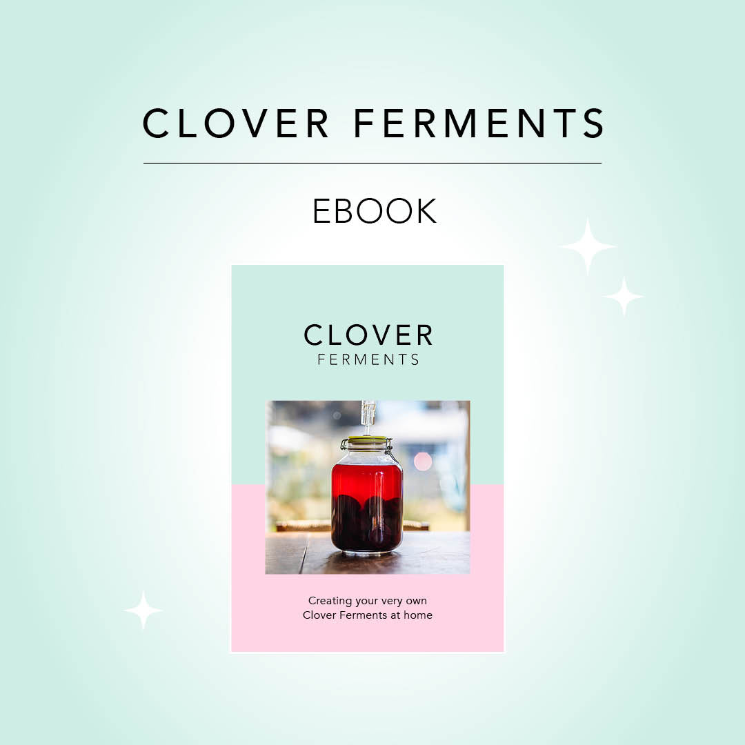 Clover Ferments at Home